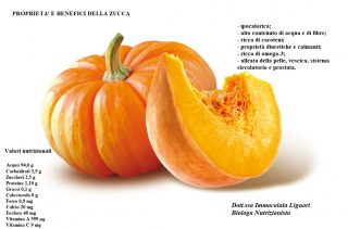 63539-_Zucca